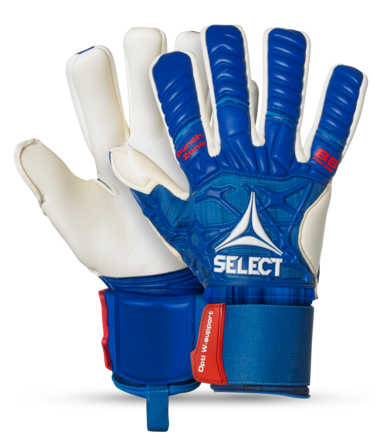 goalkeeper gloves 88 pro grip v20