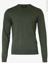 brighton olivne v 
